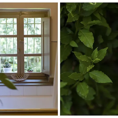 Vivaia Trendy Rural Apartment