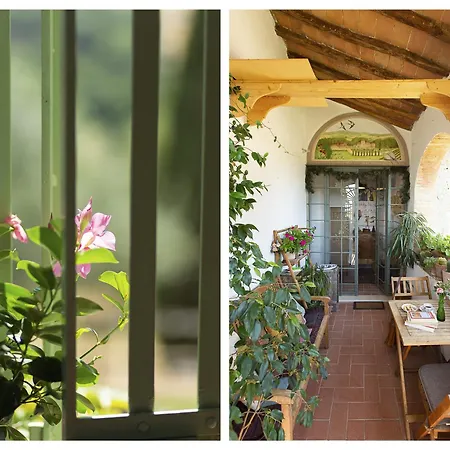 Vivaia Trendy Rural Apartment Poggibonsi