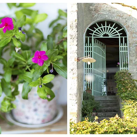 Vivaia Trendy Rural Apartment Poggibonsi